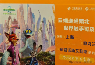 首测东航全球最长航线，挑战飞机上度过26小时