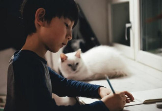 来芬兰5年，终于知道，为什么北欧近视率这么低