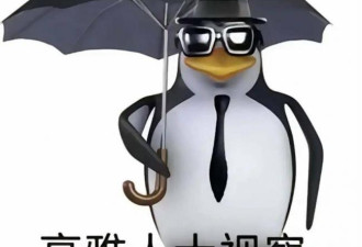 高雅企鹅 如何成为 2025 年度网红