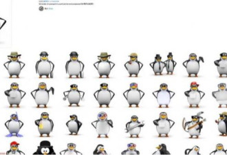 高雅企鹅 如何成为 2025 年度网红