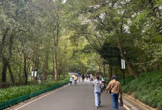 更年期母亲，和决定“看见”她的年轻人