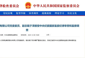 周末打虎！中国人保副总裁于泽被查,痴迷养鸽子