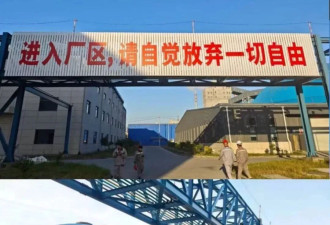 以自由换取面包，终将失去自由和面包