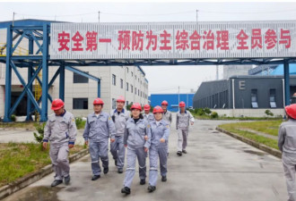 以自由换取面包，终将失去自由和面包