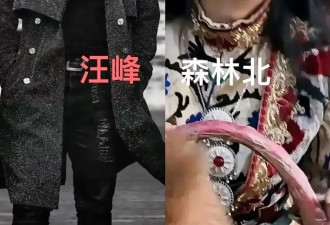 汪峰再曝出轨，皮裤男为何桃花不断