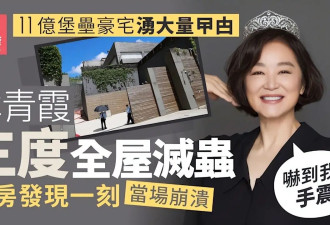 林青霞11亿豪宅遭蟑螂入侵，她亲手处理却杀不完，被吓到崩溃手抖