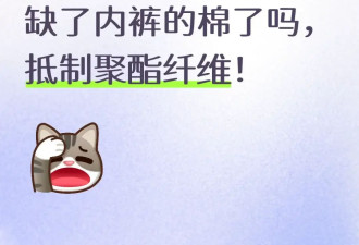 用了几十年的聚酯纤维，是怎么在互联网塌房的？