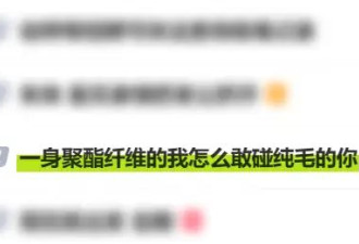 用了几十年的聚酯纤维，是怎么在互联网塌房的？