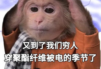 用了几十年的聚酯纤维，是怎么在互联网塌房的？