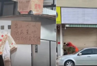 广东餐馆贴公告：“狗与外卖员勿进” 结果…