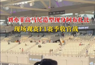 刘亦菲现身阿布扎比F1赛事，黑色束腰裙高马尾吸睛