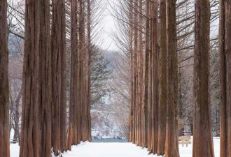 韩国滑雪场超全指南 看完就想出发～