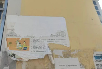 给你多少钱，你会愿意生二胎？三胎呢？