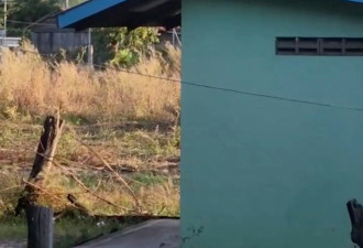 柬泰边境再交火 大批小学生“背书包逃命”