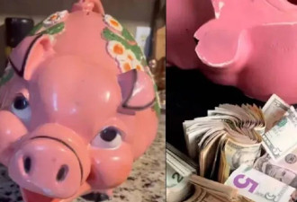 德州女二手店挖到宝！花10元买“巨丑粉红猪” 竟藏大量现金