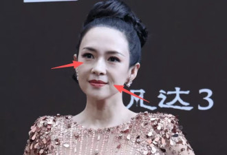 《阿凡达》首映女星造型：章子怡臃肿，孙俪V深获赞