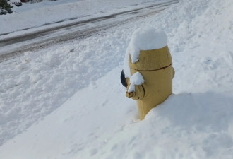 冻哭了！今冬最冷一天，多伦多体感直逼-20°C，持续降雪