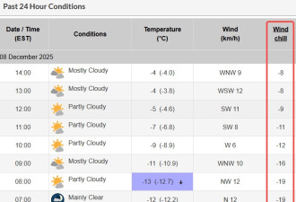 冻哭了！今冬最冷一天，多伦多体感直逼-20°C，持续降雪