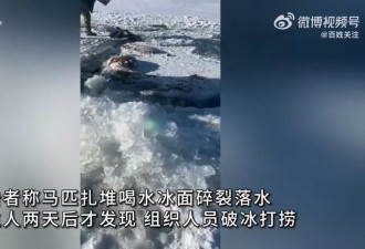 水库现13匹“冰冻马”引关注 瞬间冻死 农户损失30余万