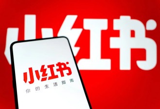 下载量社交类第一，小红书在岛内“越禁越红”