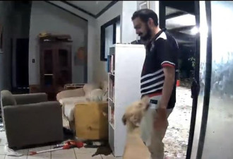 狗狗开门让牛马都进屋开party 主人回家后傻了…