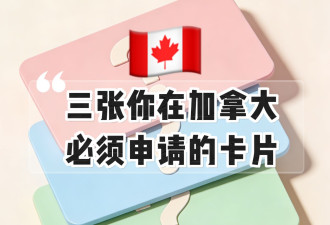 在加拿大你必须申请的3张卡和他们的申请方式！