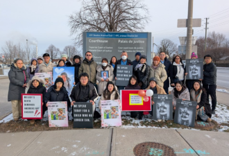 多伦多8岁华裔女孩遭印度司机撞死案开庭! 大批华人挤满现场声援