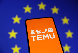 欧盟突袭检查Temu欧洲总部