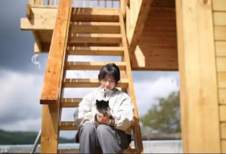 每年“蹭”近百场婚宴 收养126只流浪猫狗 她回应质疑