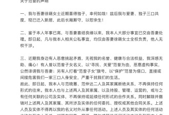 87岁著名书画家范曾官宣生子 并宣称与女儿和继子断绝关系