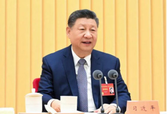 八剂猛药急救八重病！3信号清晰 习亲自定调