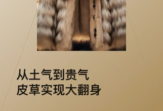 “小姨经济学”，让年轻人重新爱上皮草
