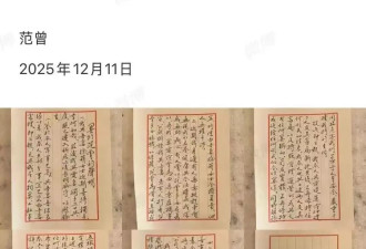 家族清洗远非简单的“父子反目” 范曾嫩妻赢在哪？