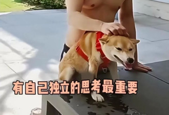 洪金宝“注射神秘液体”风波升级！长子曝内幕