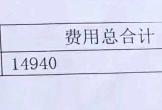 网约车司机礼让行人被追尾，索赔误工费却被拉黑