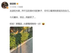 保剑锋发文疑似回应黄慧颐：编造也要编得高级一点！