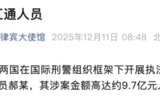 涉案金额9.7亿元，深大通集团实控人妻子被遣返