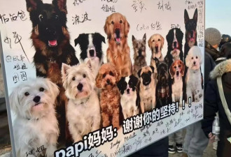 毒死小狗获刑4年，Papi妈妈漫长的追凶