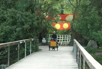 一个神秘北欧社区，让资本主义失效