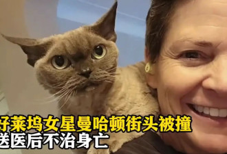 好莱坞著名女演员在曼哈顿街头被撞身亡！享年60岁
