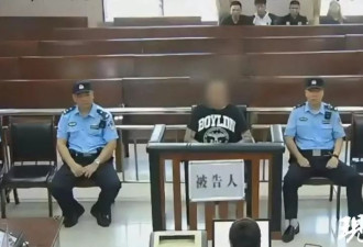 男子买平替毒品竟遇“黑吃黑” 36万买到一包味精