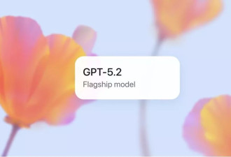 一文读懂GPT-5.2：直指“经济价值”