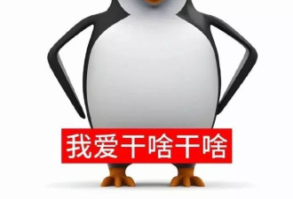 两份“十大网络流行语”同日发布，却只有一条重合