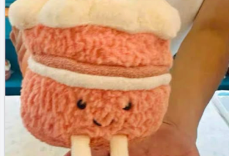 颠覆认知！加拿大大妈不偷名牌，改狂偷上百只Jellycat!