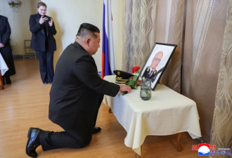 金正恩单膝跪地，向俄罗斯驻朝大使的遗像献花