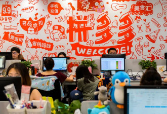 副厅官员与上海官员“互殴”？拼多多被扒皮