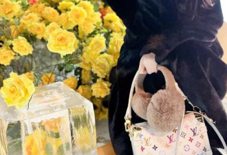 刘亦菲又带火了秋冬新穿搭：黑色长大衣+短裤+长筒靴，时髦又洋气