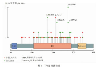 欧洲男子捐精生197个孩子有10人患癌已现死亡案例