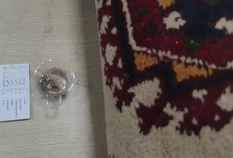 深圳海关在“阿富汗手工地毯”中检测出冰毒成分