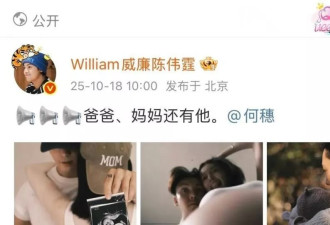 陈伟霆带着爱犬拍大片，首次回应生子原因